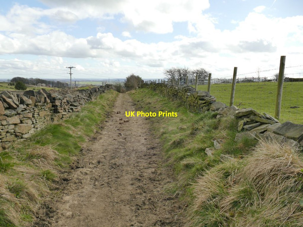 Photo 6"x4" Bowl Shaw Lane Queensbury\/SE0930 c2022