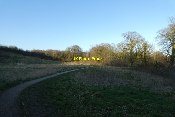 Photo 6"x4" Bridleway through National Trust Land Morley\/SJ8282 c2022