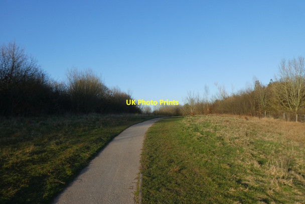 Photo 6"x4" Path in the evening sun Morley\/SJ8282 c2022
