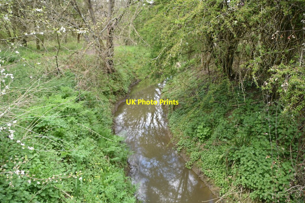 Photo 6"x4" Ray Brook Blindley Heath c2021