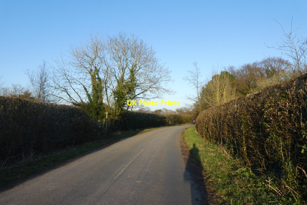 Photo 6"x4" Long shadows on Altrincham Road Morley\/SJ8282 c2022