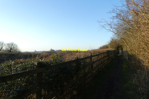 Photo 6"x4" Fence and hedge beside a path Morley\/SJ8282 c2022