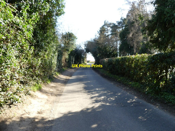 Photo 6"x4" South on minor rural road Lamas c2022