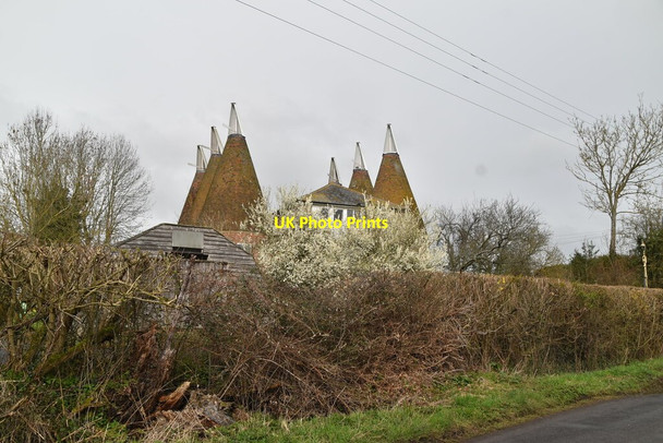 Photo 6"x4" Bull Oast Hunton\/TQ7149 c2021 P1