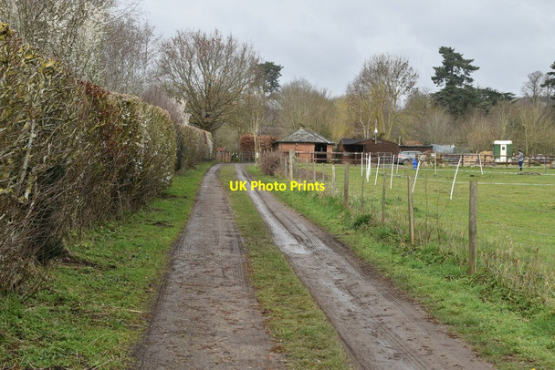 Photo 6"x4" Footpath to Hunton Court Farm Hunton\/TQ7149 c2021