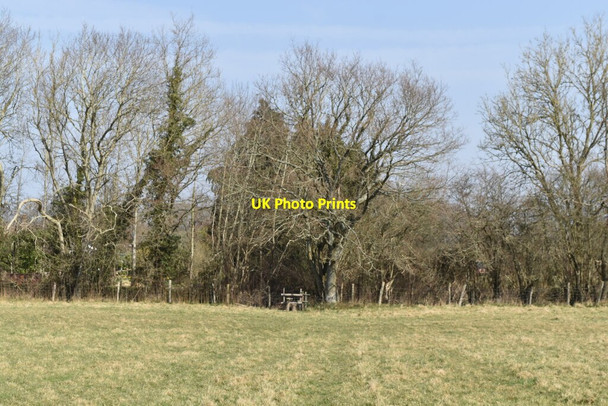 Photo 6"x4" Path to field edge south of Perryland Farm Lower Dicker c2022