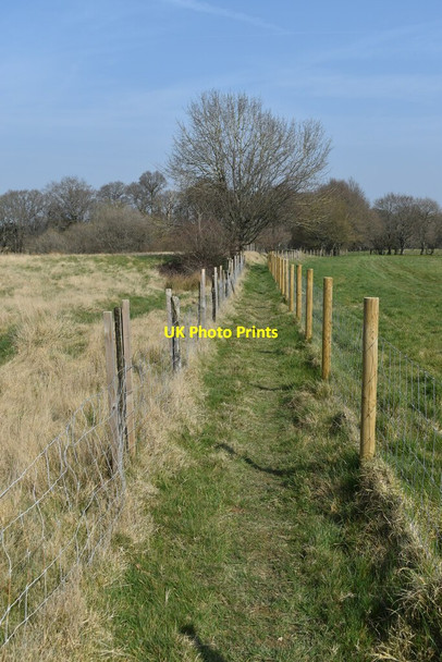 Photo 6"x4" Footpath between fields near Caldicott's Wood Lower Dicker c2022