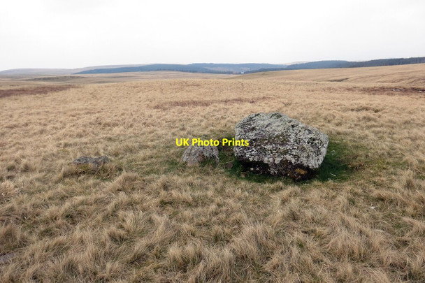 Photo 6"x4" Rhes gerrig Nant Tarw \/ Nant Tarw stone row Bryn Mawr\/SN8025 c2022