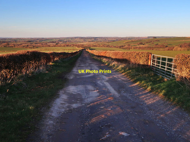 Photo 6"x4" Track near Auchenheath Auchenheath c2022