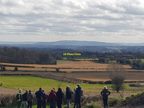 Photo 6"x4" Walking group admiring the view Berrow Green c2022