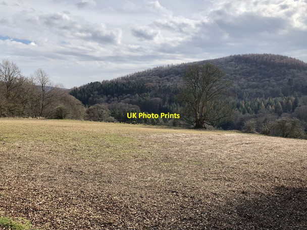 Photo 6"x4" View Across Stubble Field To Coomb Hill Hawnby c2022