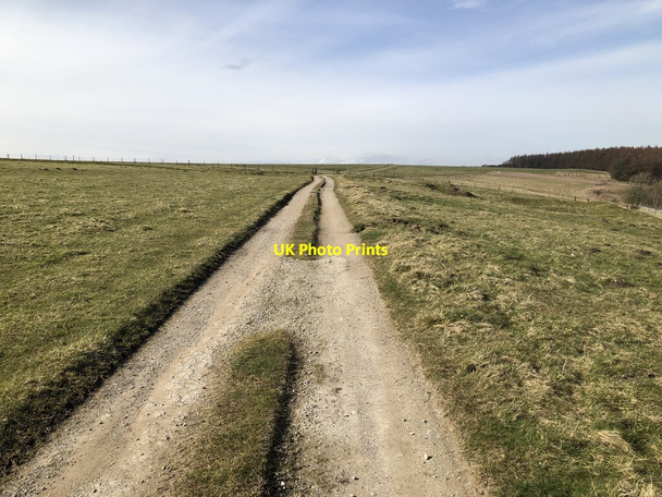 Photo 6"x4" Track Above Thorodale Murton Grange\/SE5388 c2022