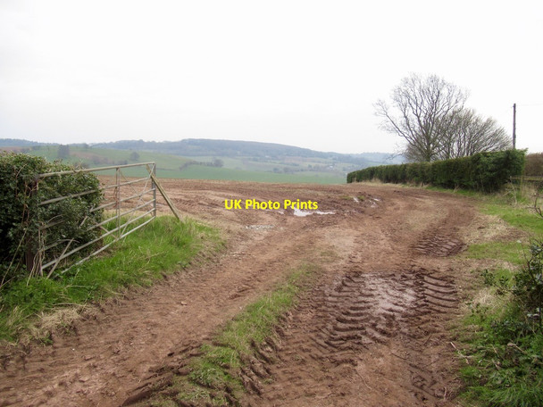 Photo 6"x4" Muddy field, Hygga Llanishen\/SO4703 c2022