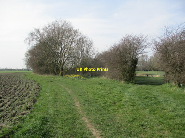 Photo 6"x4" Footpath to Cowbridge Cowbridge\/TF3247 c2022