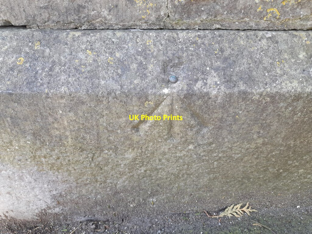 Photo 6"x4" Ordnance Survey Rivet Narberth\/Arberth c2022
