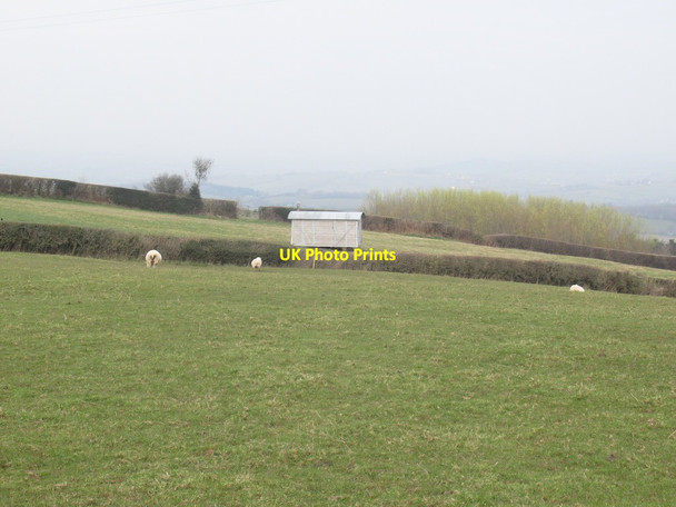 Photo 6"x4" Hut, Newchurch Newchurch\/ST4597 c2022