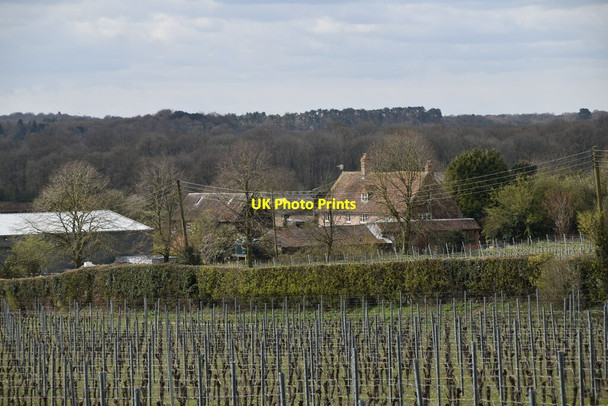 Photo 6"x4" Gaysham Farm Hill Park\/TQ4355 c2021