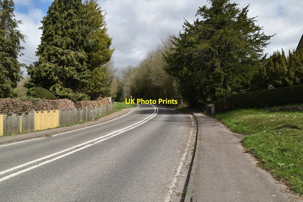 Photo 6"x4" Titsey Hill Titsey c2021
