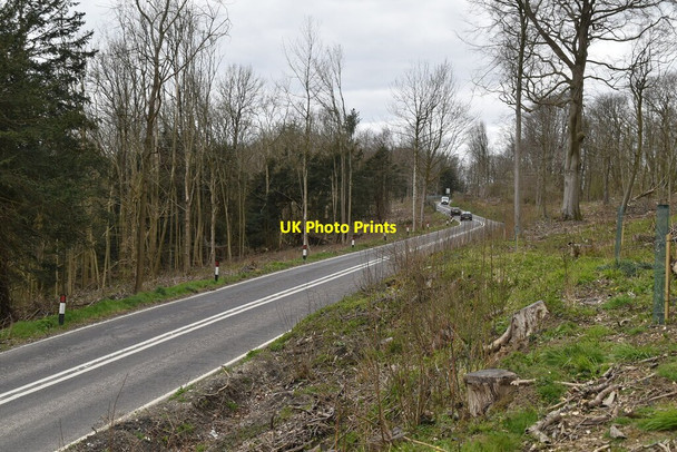 Photo 6"x4" Titsey Hill Titsey c2021 P2