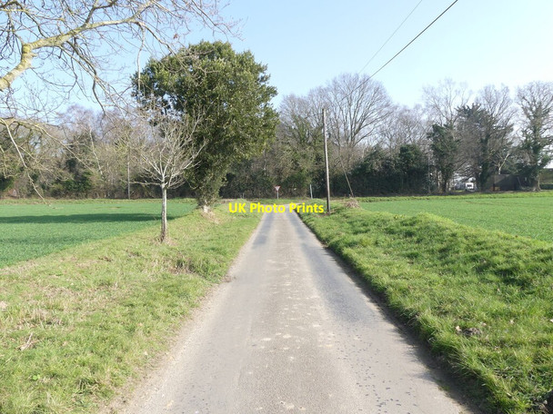 Photo 6"x4" Looking towards junction of Cross Road and Skeyton Road Skeyton Corner c2022