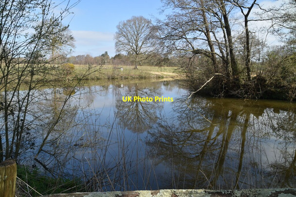 Photo 6"x4" Pond, Chailey Moat Chailey c2021