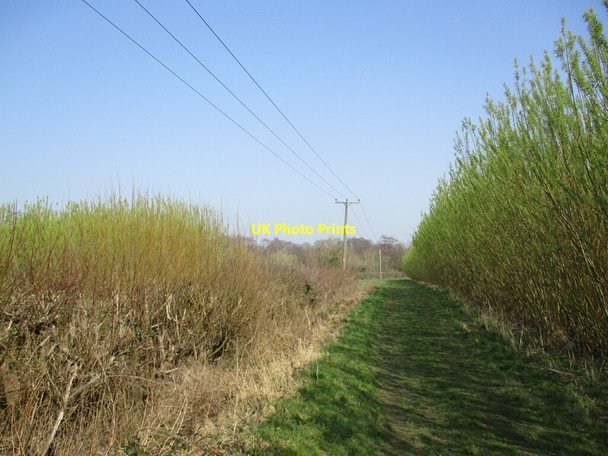 Photo 6"x4" Footpath to Kirklington Kirklington\/SK6757 c2022