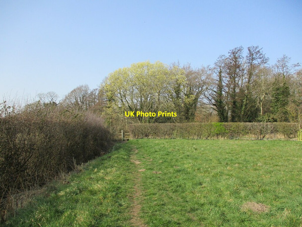 Photo 6"x4" Footpath to Kirklington Kirklington\/SK6757 c2022