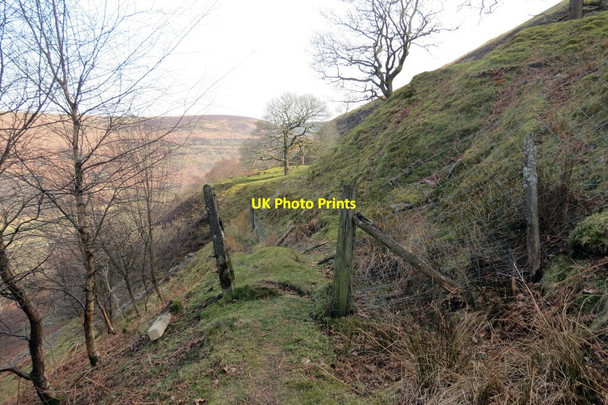 Photo 6"x4" Llwybr ger Cwarau Bedwellte \/ Path near Bedwellty Quarries Bedwellty Pits c2022