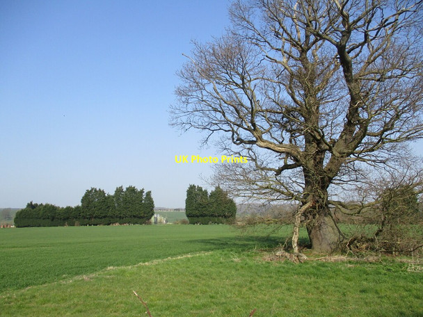 Photo 6"x4" Fields near Willow Farm Belle Eau Park c2022