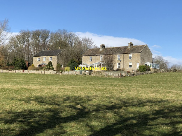 Photo 6"x4" Cat Castle Cottages Lartington c2022