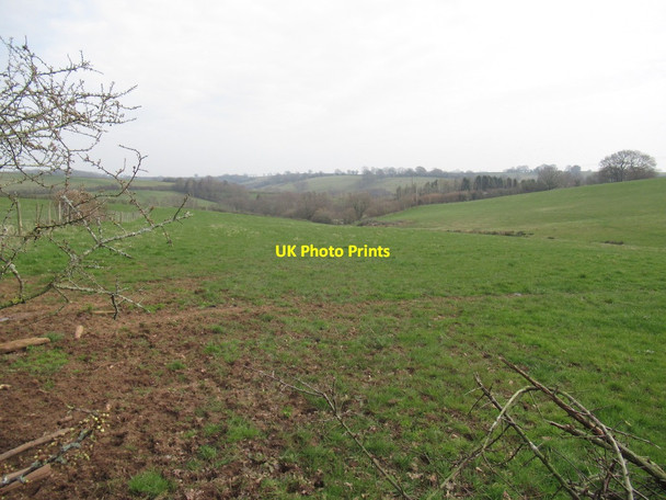 Photo 6"x4" Pasture above Raglan Coed-y-fedw c2022