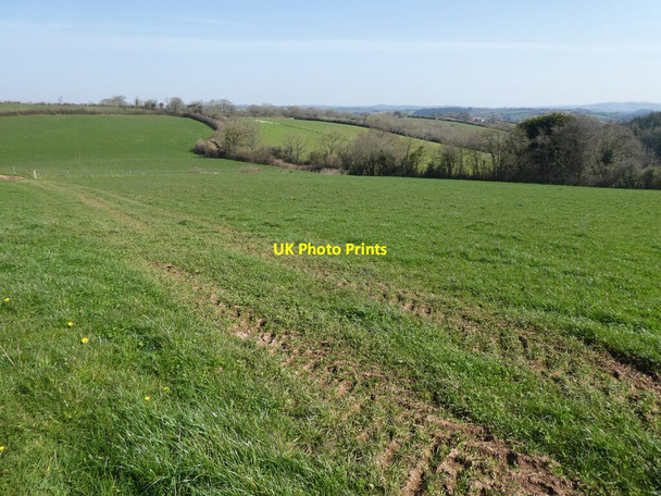 Photo 6"x4" Path down to Swannaton Lane Kennerleigh c2022