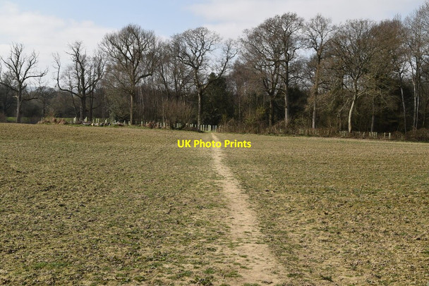 Photo 6"x4" Footpath across field Chailey c2021