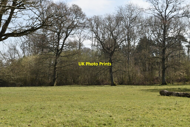 Photo 6"x4" Pasture and woodland South Street\/TQ3918 c2021