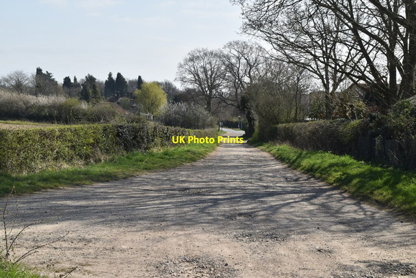 Photo 6"x4" To South Common South Chailey c2021