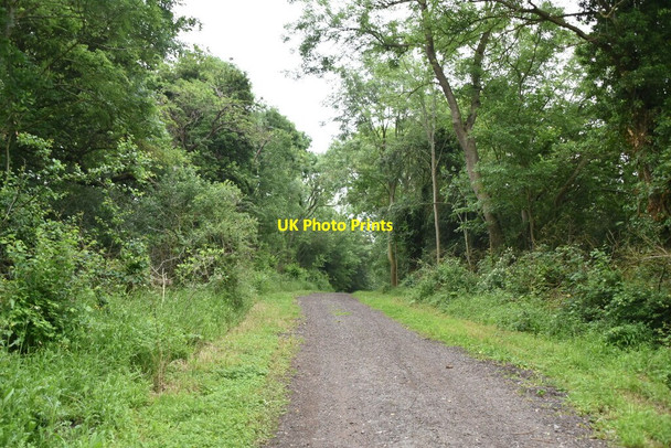 Photo 6"x4" Thorofare Lane Knapwell c2021