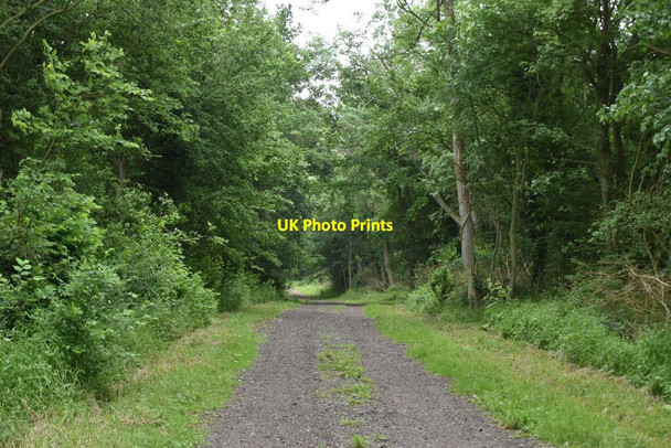 Photo 6"x4" Thorofare Lane Knapwell c2021 P1