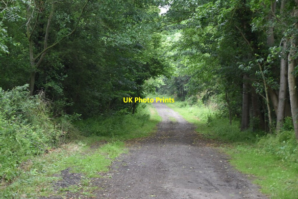 Photo 6"x4" Thorofare Lane Knapwell c2021 P2