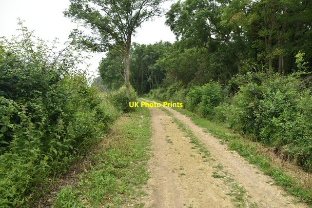 Photo 6"x4" Thorofare Lane Knapwell c2021
