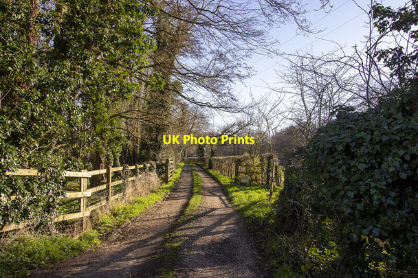 Photo 6"x4" Farm track Briston\/TG0632 c2022