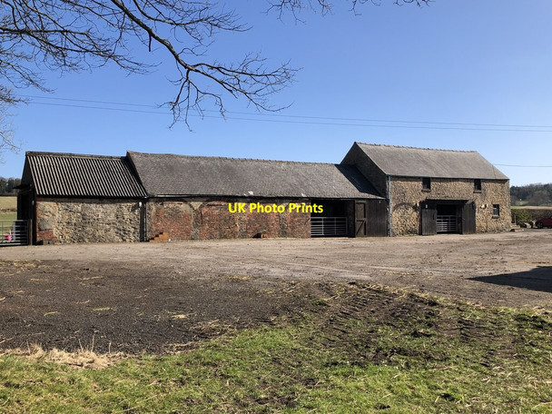 Photo 6"x4" Farm Buildings, Littletown Farm Hallgarth c2022