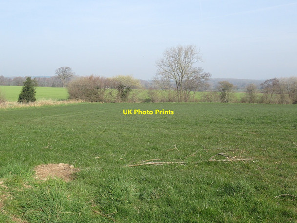 Photo 6"x4" Field, Wilderley Church Pulverbatch c2022