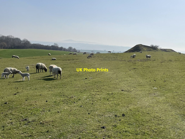 Photo 6"x4" Rocky outcrops on Halford Hill, north east of Craven Arms Halford\/SO4383 c2022