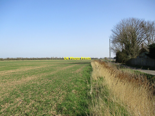Photo 6"x4" Field opposite Buffham's Farm Frampton\/TF3239 c2022