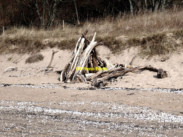Photo 6"x4" Driftwood above the beach at Pettycur Bay Kinghorn\/NT2686 c2022
