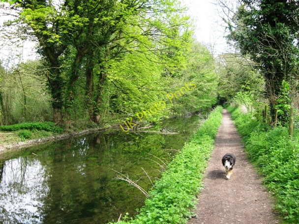 Photo 6"x4" Wendover Arm: halfway between Hare Lane Bridge (No 8) and Wellonhead Bridge (No 7) Buckland\/SP8812 c2009