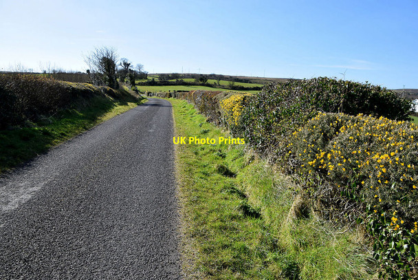 Photo 6"x4" Whins along Coolkeeragh Road Drumquin c2022