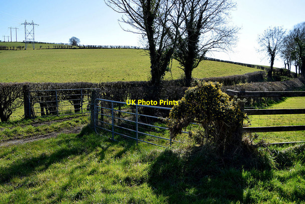 Photo 6"x4" Gates, Curr Beragh c2022