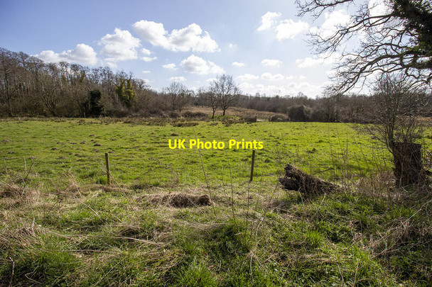 Photo 6"x4" Weston Fen Fen Street\/TL9879 c2022