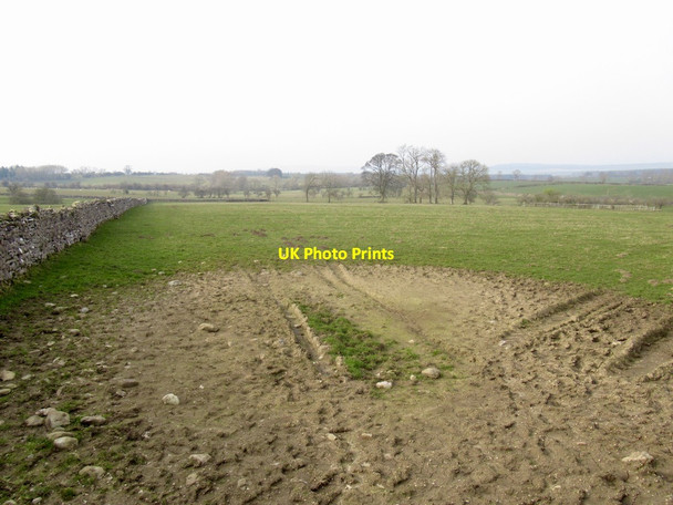 Photo 6"x4" Field near Newby Little Strickland c2022